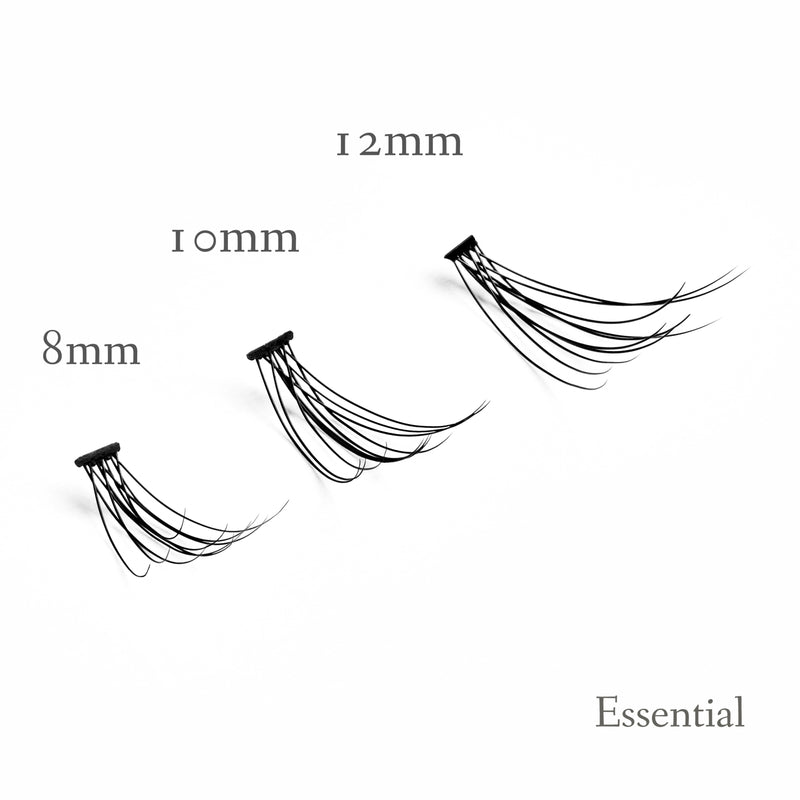 Set of Essential Individual Eyelashes